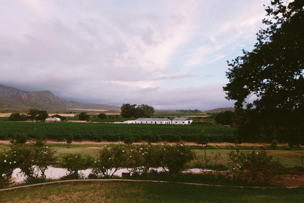 Nuy Leipzig Country House & Winery المظهر الخارجي الصورة