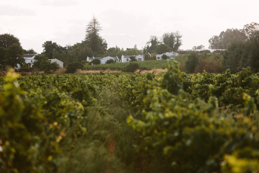 Nuy Leipzig Country House & Winery المظهر الخارجي الصورة