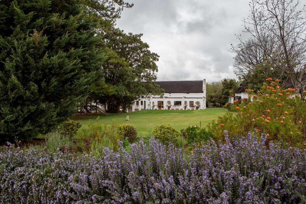 Nuy Leipzig Country House & Winery المظهر الخارجي الصورة