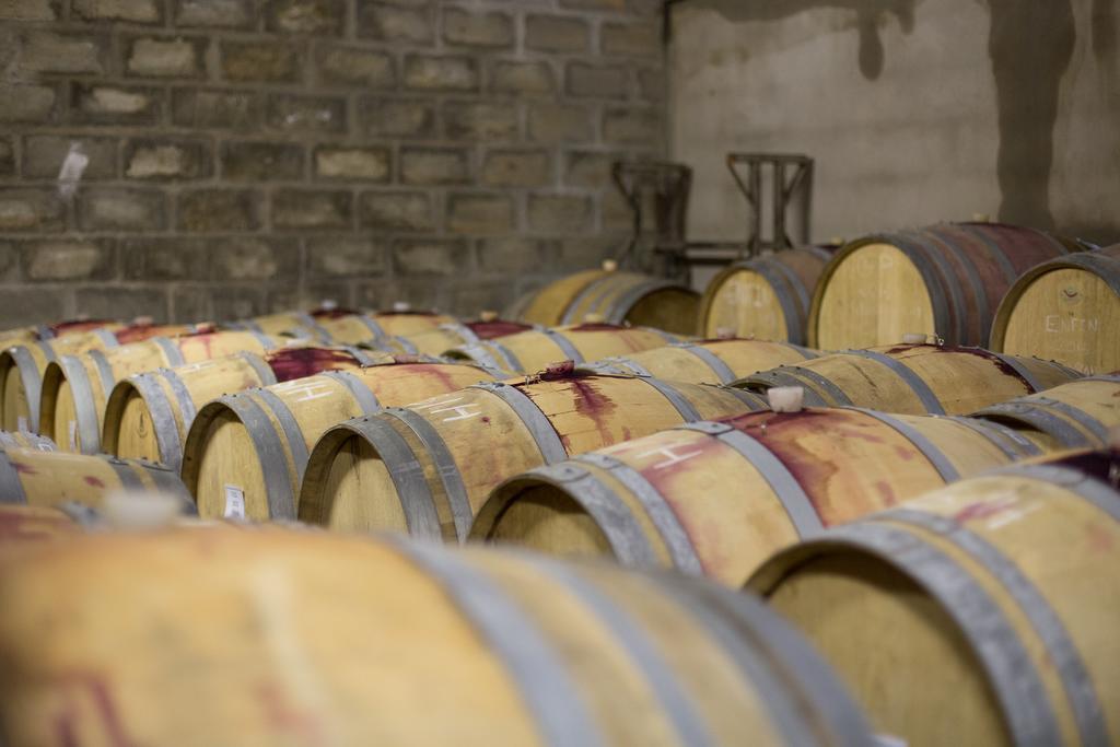 Nuy Leipzig Country House & Winery المظهر الخارجي الصورة